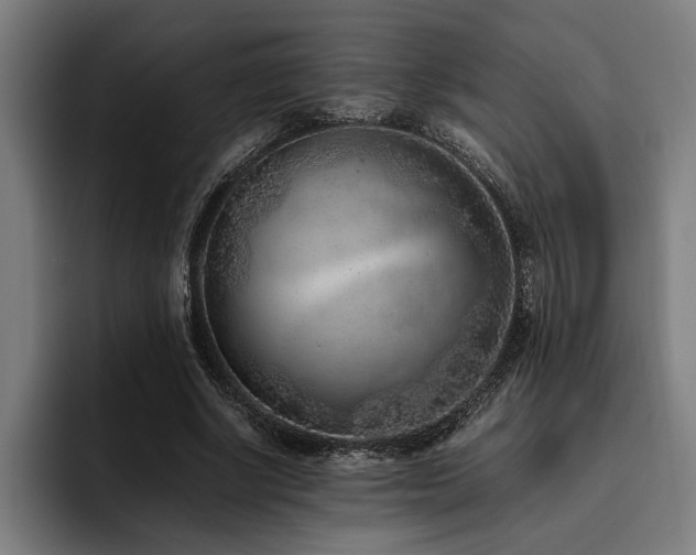 X0000093460634200710121407