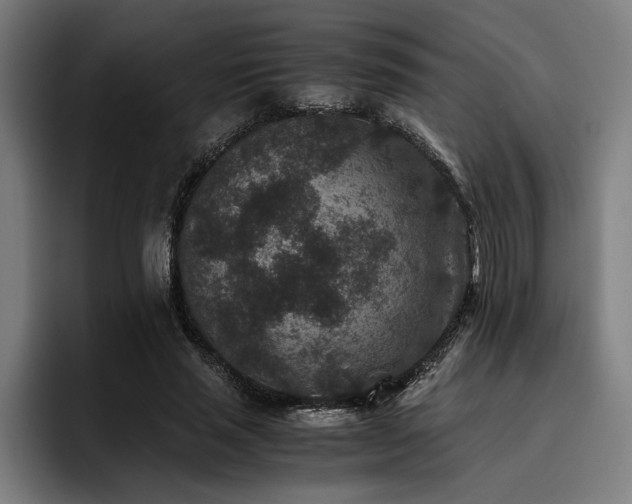 X0000093460637200710121407