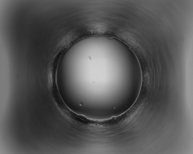 X0000093460638200710121407