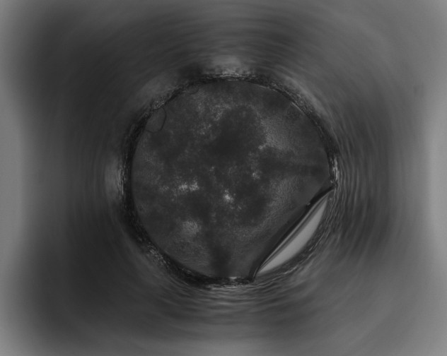 X0000093460643200710121407