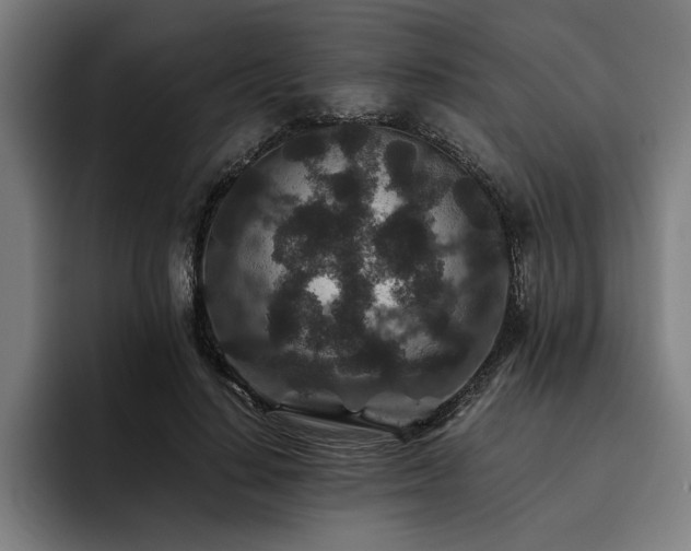 X0000093460644200710121407