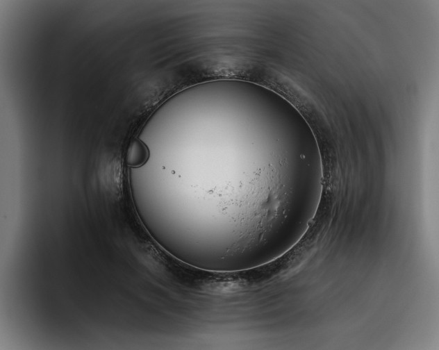 X0000093460646200710121407