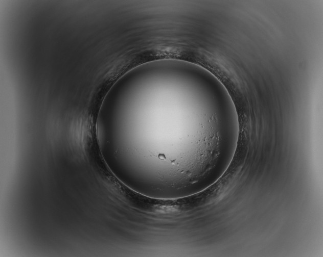 X0000093460649200710121407