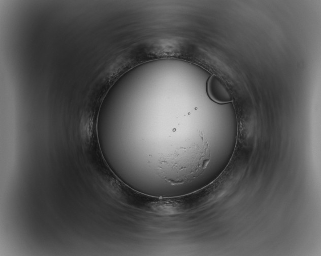 X0000093460652200710121407