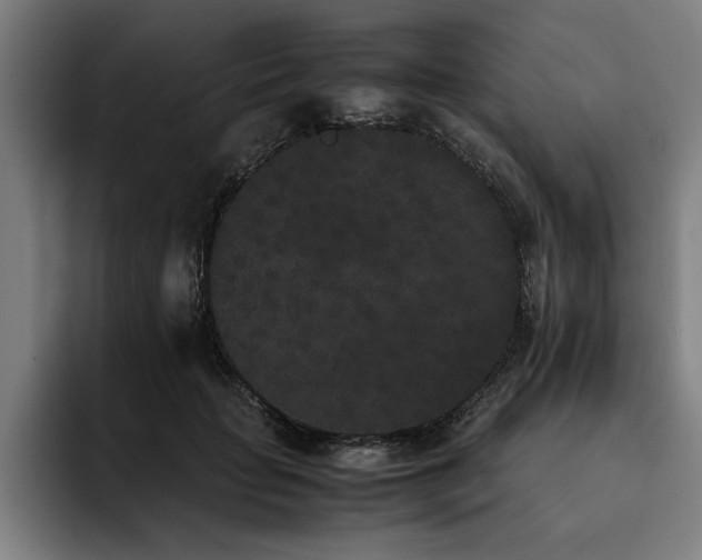 X0000093460653200710121407