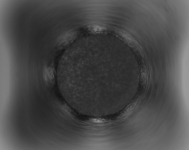 X0000093460654200710121407