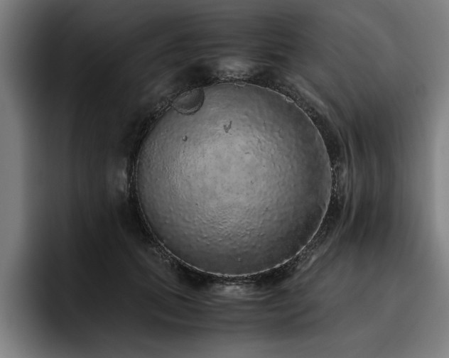 X0000093460655200710121407