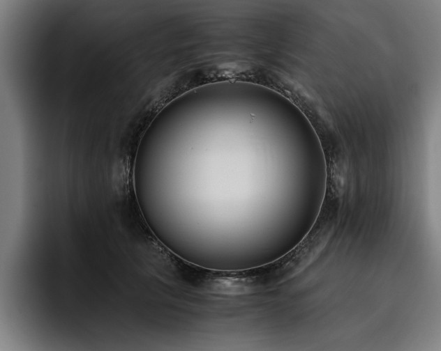 X0000093460657200710121407