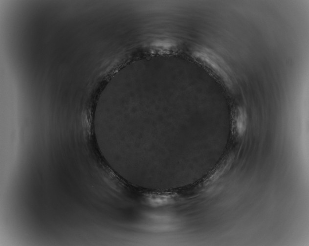 X0000093460661200710121407