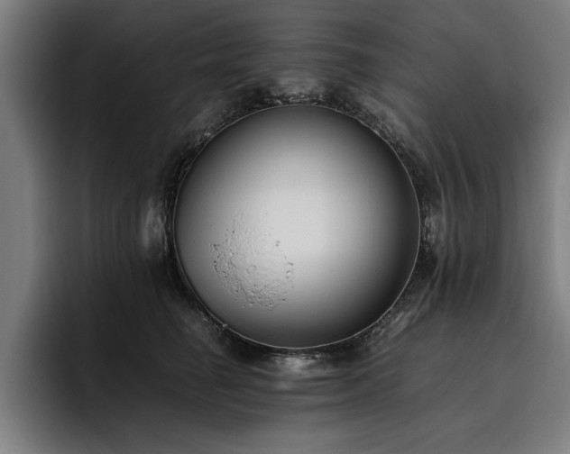 X0000093460662200710121407