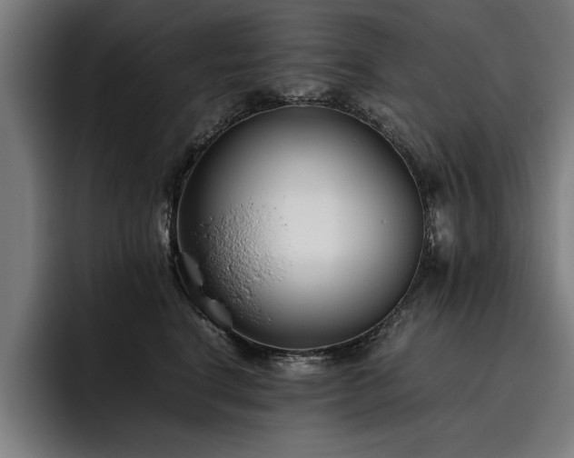 X0000093460664200710121407