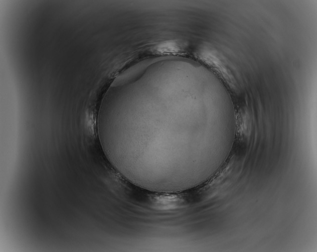 X0000093460669200710121407