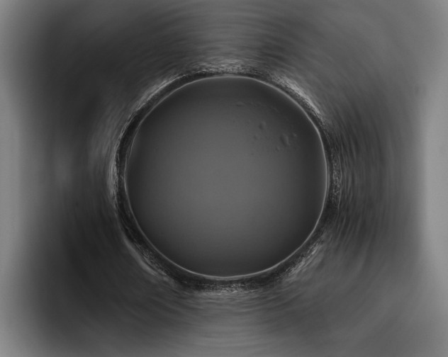 X0000093460674200710121407