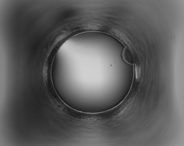 X0000093460675200710121407