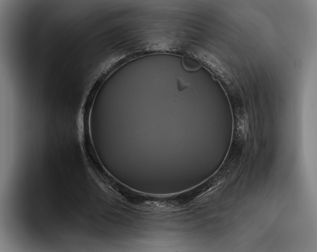 X0000093460678200710121407