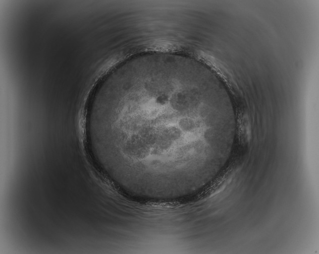 X0000093460679200710121407