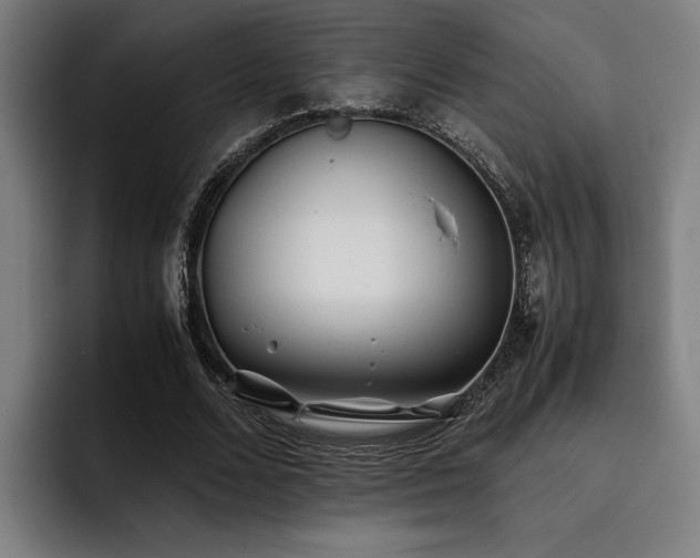 X0000093460680200710121407