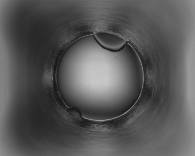 X0000093460681200710121407