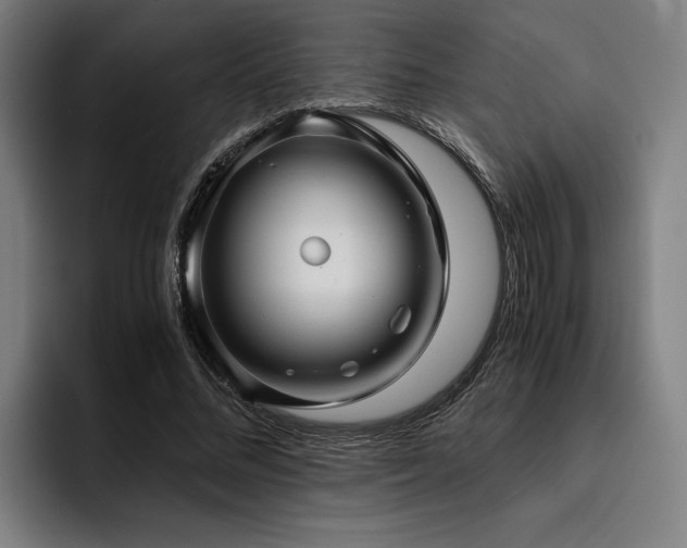 X0000093460684200710121407