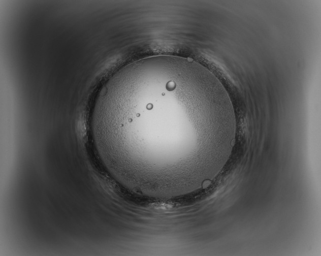 X0000093460687200710121407