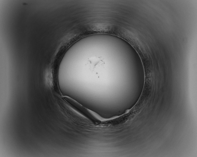 X0000093460688200710121407