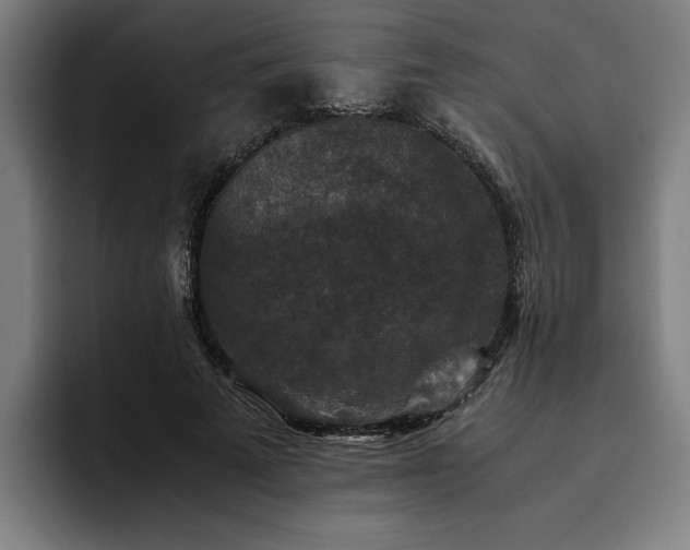 X0000093460689200710121407