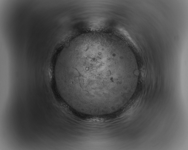 X0000093460691200710121407