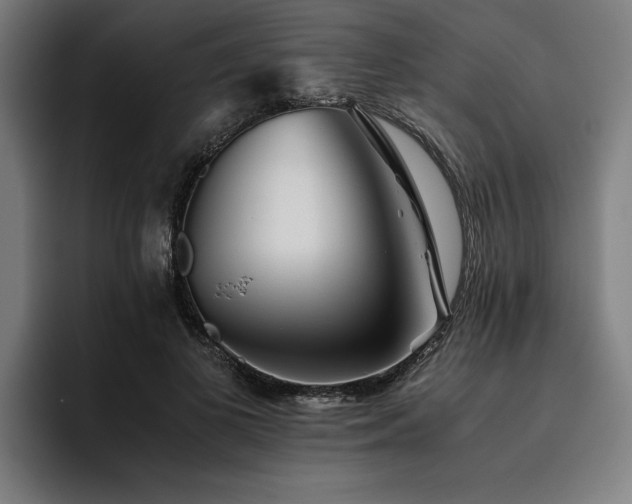 X0000093460693200710121407