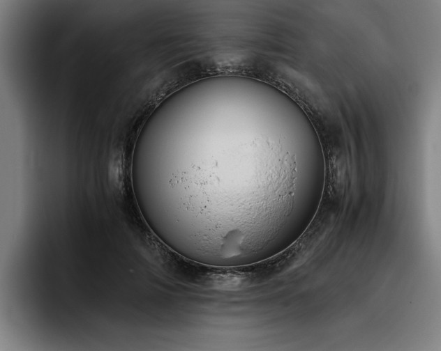 X0000093460698200710121406