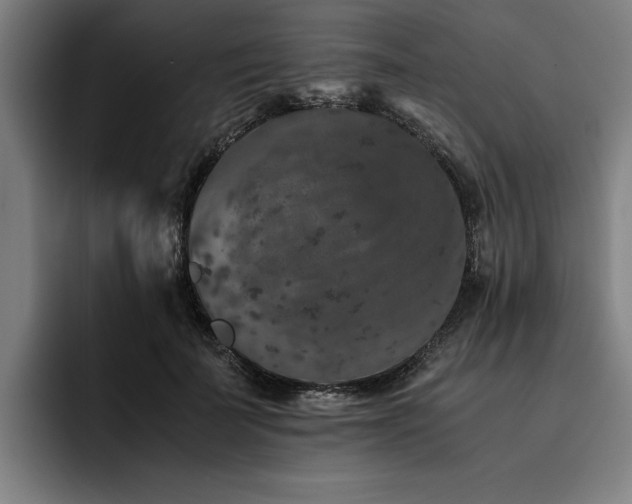 X0000093460699200710121406