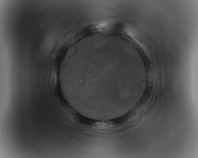 X0000093460703200710121406