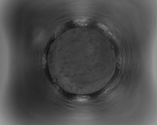 X0000093460707200710121406