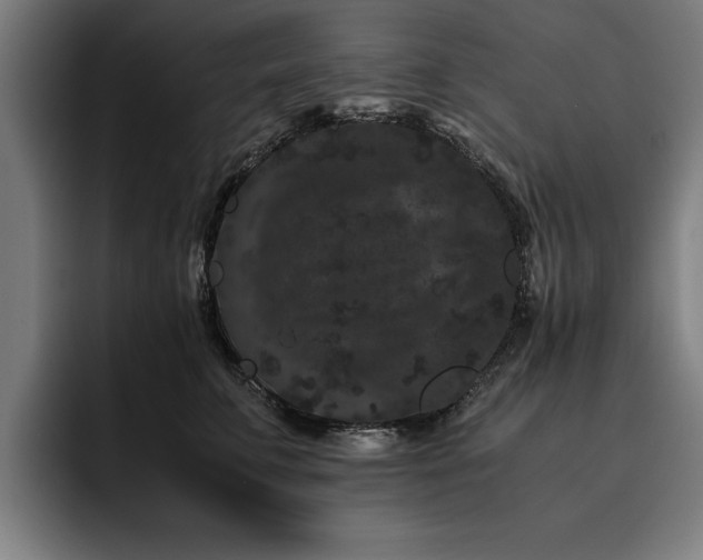 X0000093460711200710121406