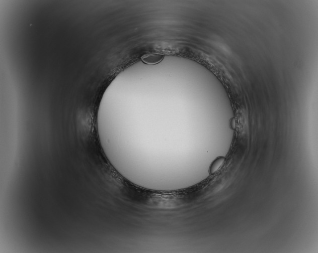 X0000093460713200710121406