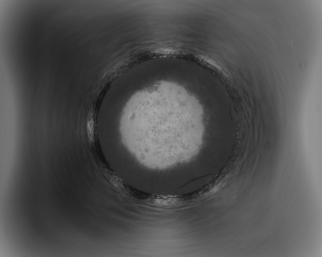 X0000093460720200710121406