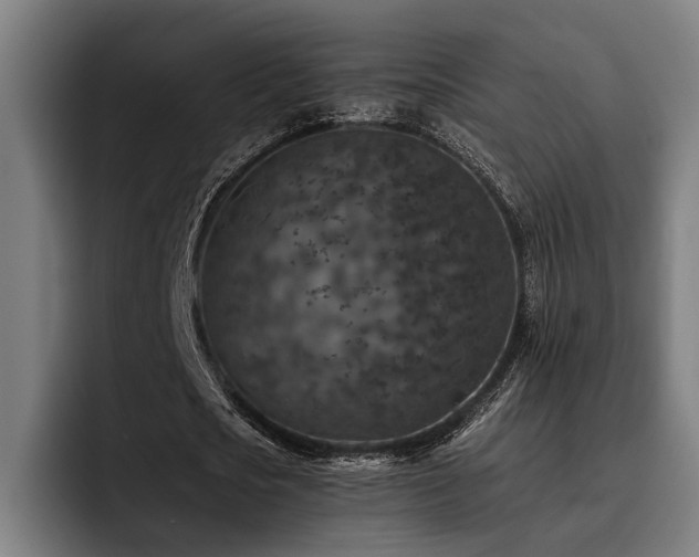 X0000093460721200710121405