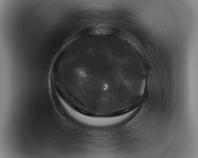 X0000093460722200710121405