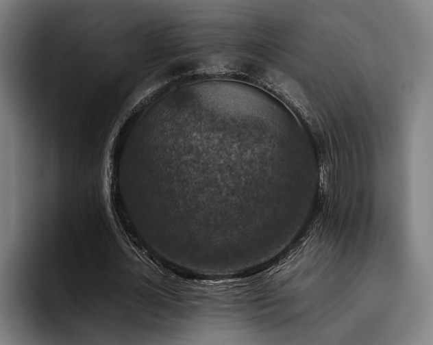 X0000093460724200710121406