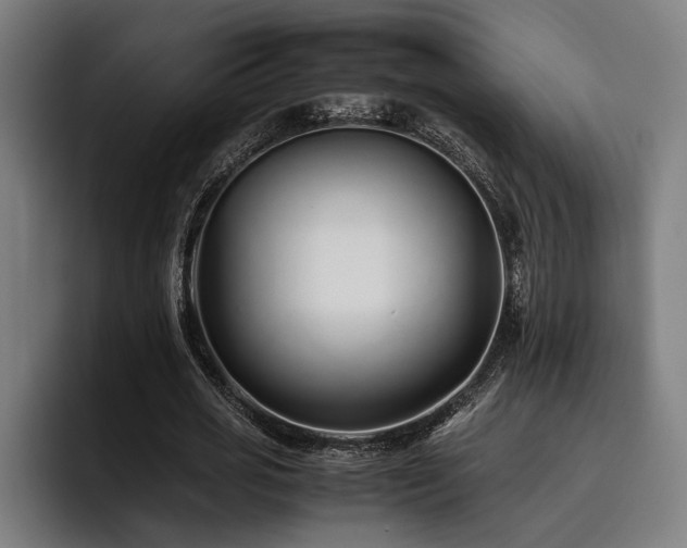 X0000093460725200710121406