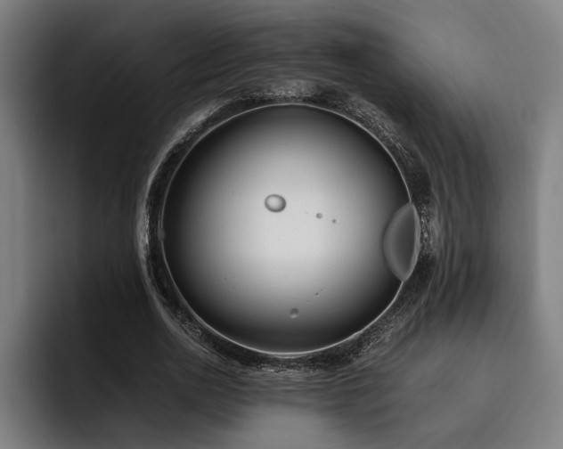 X0000093460726200710121406