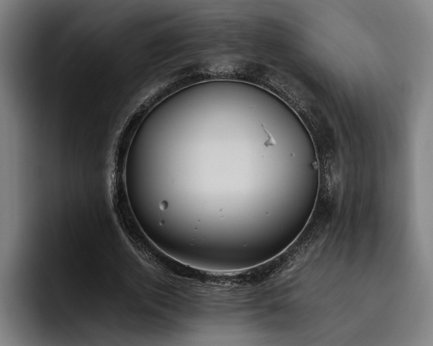 X0000093460728200710121406