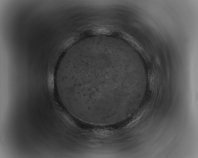 X0000093460729200710121406