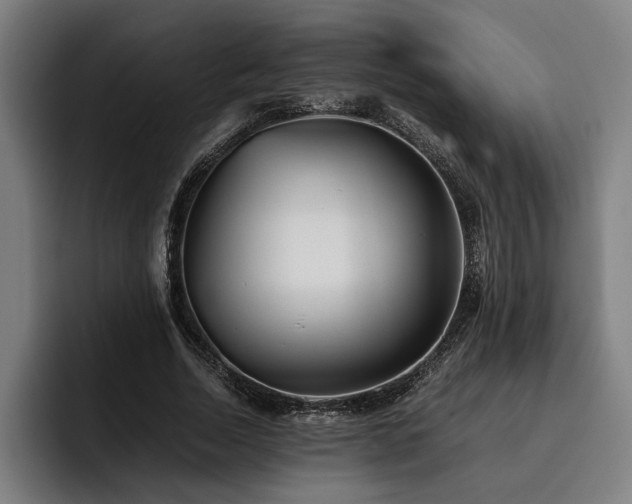 X0000093460730200710121406