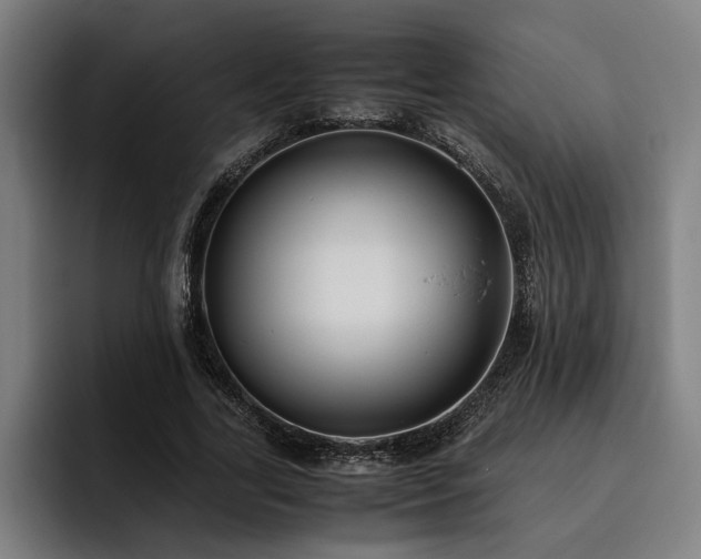 X0000093460731200710121406