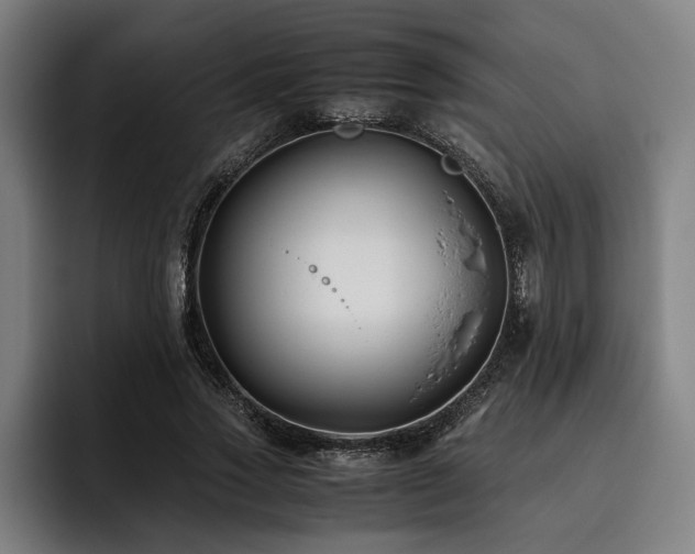 X0000093460733200710121406