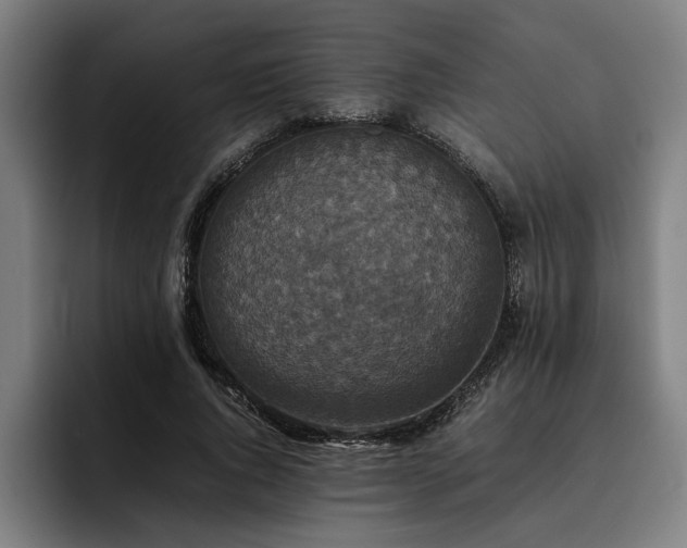 X0000093460736200710121406