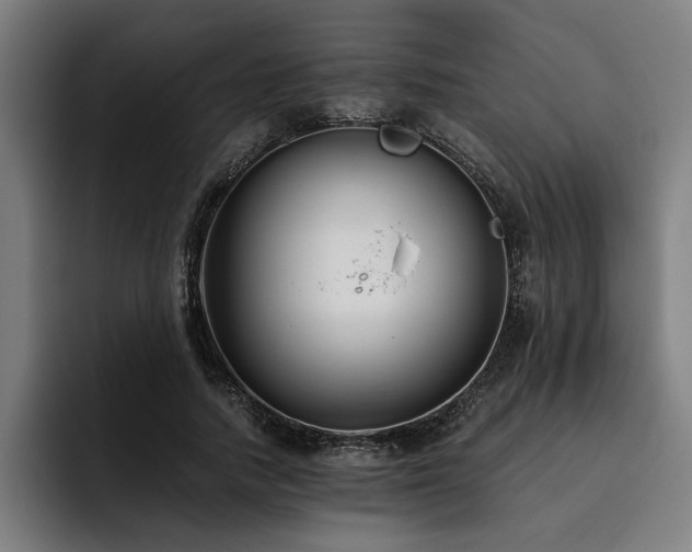 X0000093460738200710121406