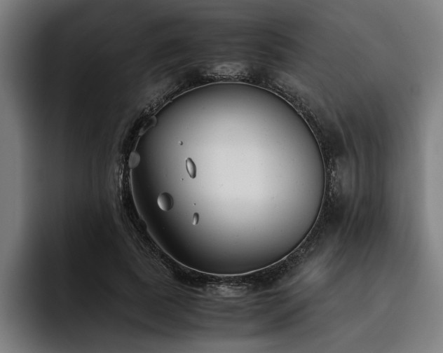 X0000093460739200710121406