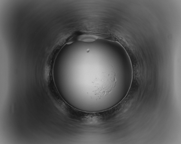 X0000093460742200710121406