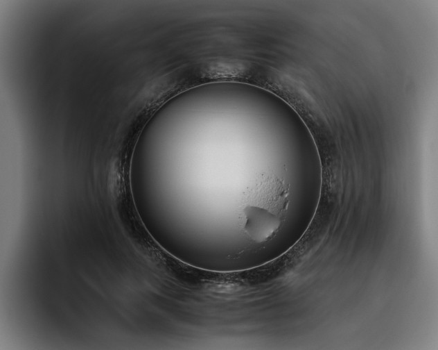 X0000093460743200710121406